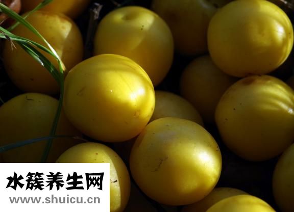 三華李怎么腌才好吃