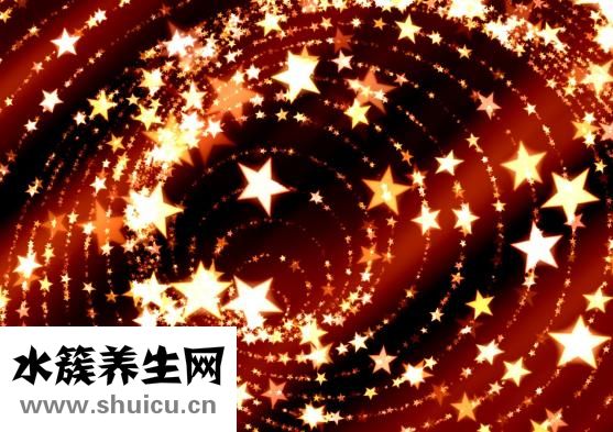 集運倉怎么收運費