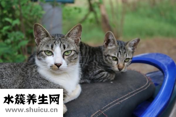 眼鏡腳斷了怎么辦