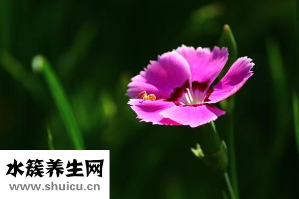 和天蝎男冷戰怎么辦