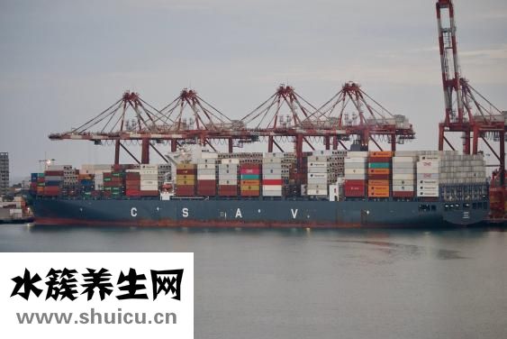 集運倉怎么收運費