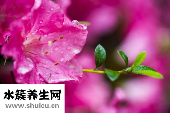 細長茄子怎么做