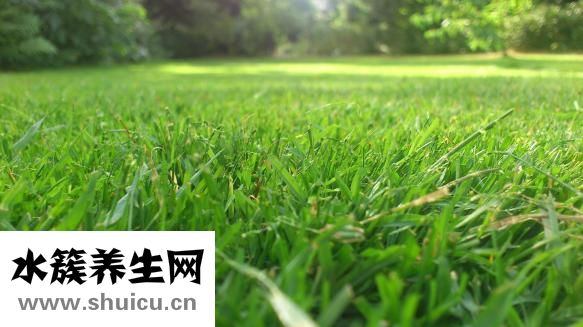 媽媽要找叔叔怎么辦