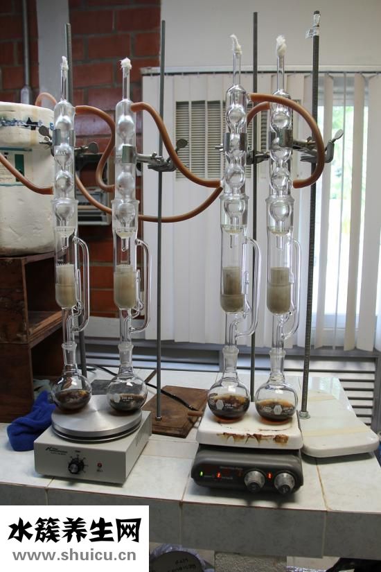 顯微鏡松柏油怎么用