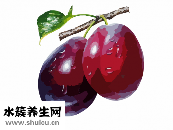 三華李怎么腌才好吃