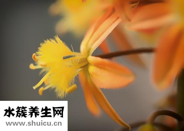 怎么緩解寶寶腹脹