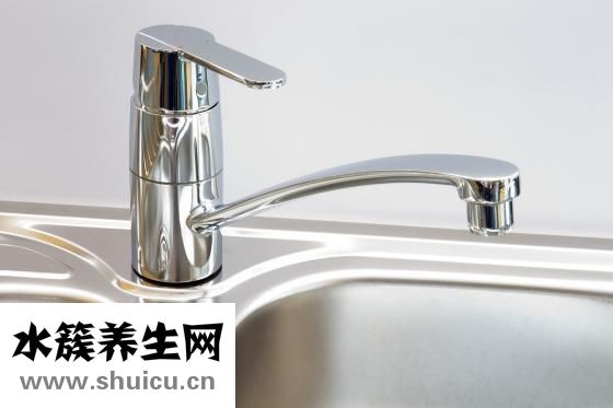 鸚鵡鳥里的水怎么換