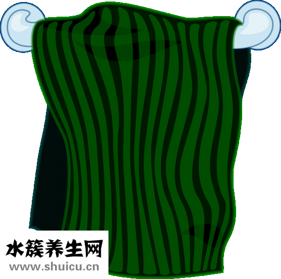 蒸汽燙傷怎么辦