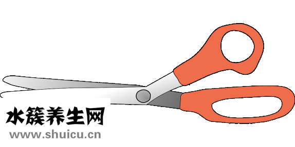 寶寶指甲怎么剪