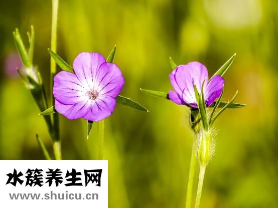 怎么知道自己缺五行