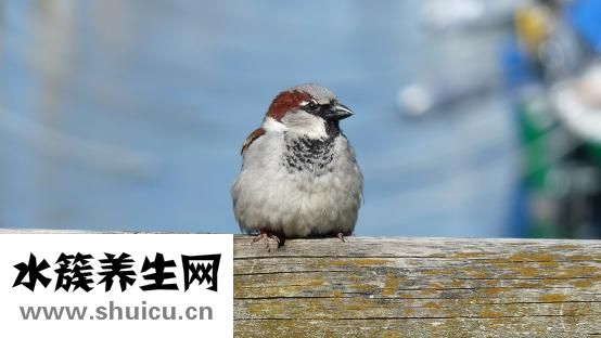 怎么做好一個男朋友