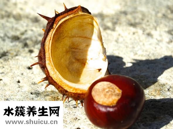 怎么炒板栗不爆炸