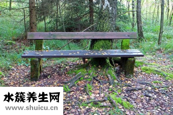 怎么很多的性伴侶