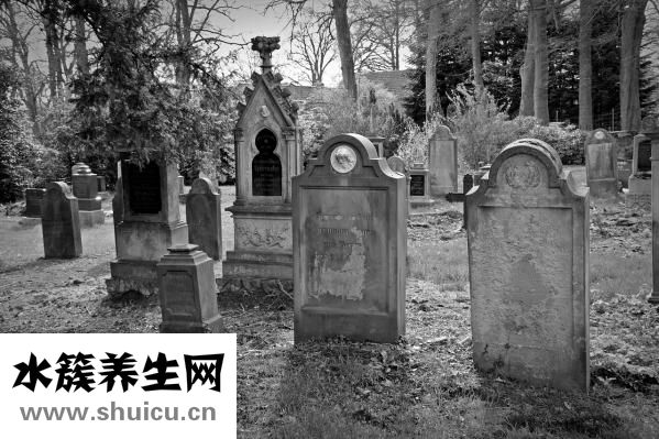 腳踝骨頭錯位怎么辦