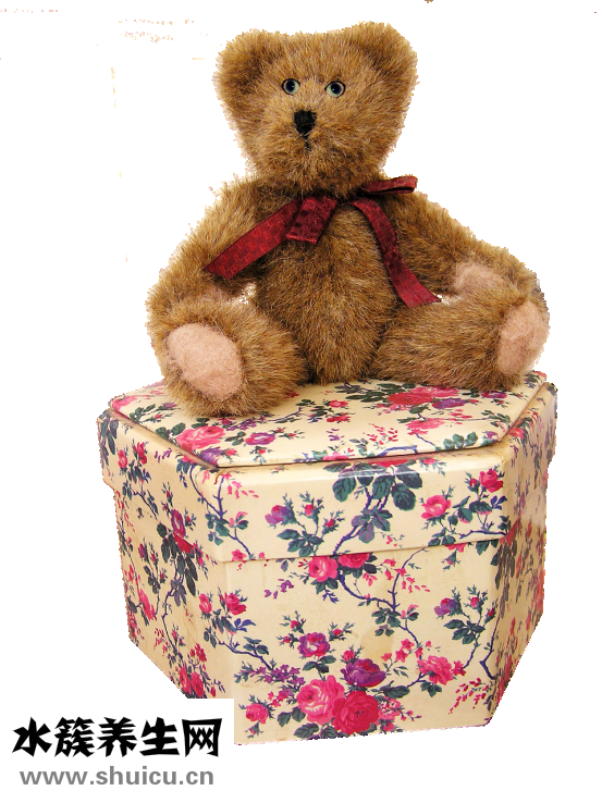 小泰迪不喝水怎么辦