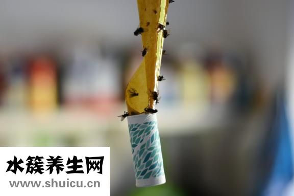 蝦和面條怎么做好吃