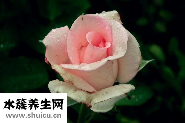 怎么做好一個男朋友