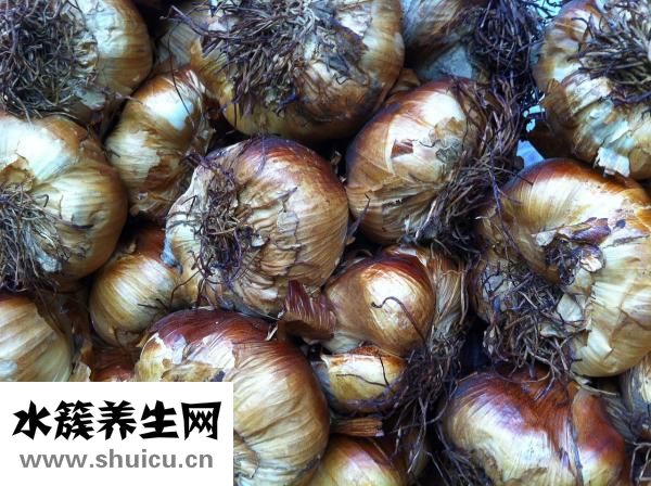 大蒜發黃怎么辦