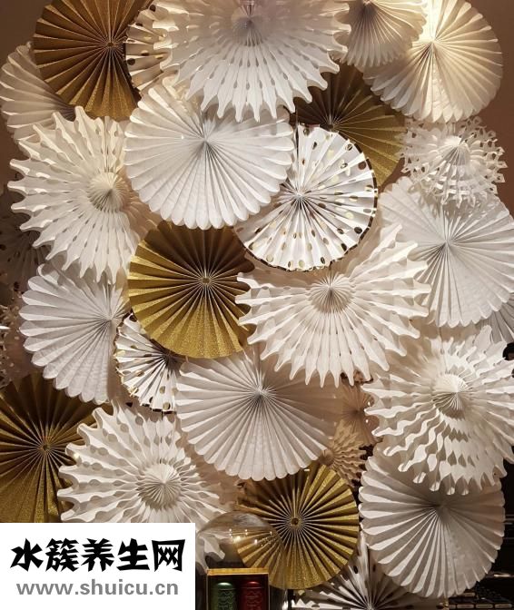 轉運竹怎么擺放