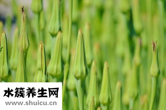 腸鳴音屁多怎么治