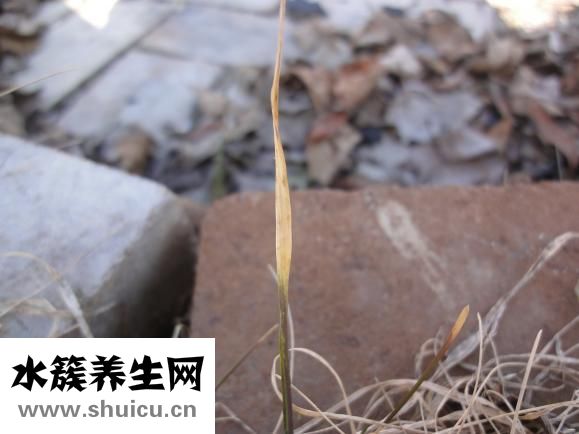 懷孕六個月怎么死胎