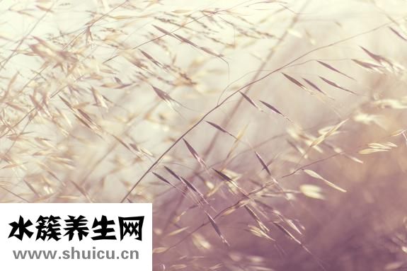 情花毒怎么解的