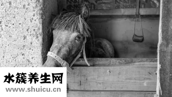 強迫多疑癥怎么治療