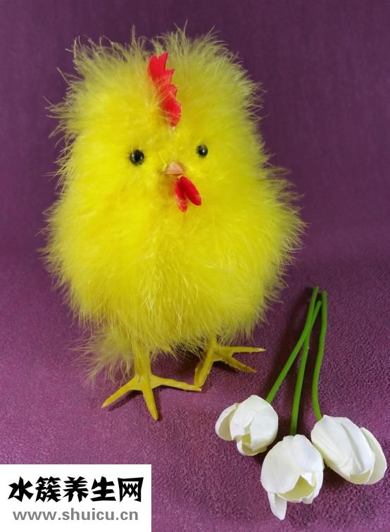 小雞拉紅屎怎么治