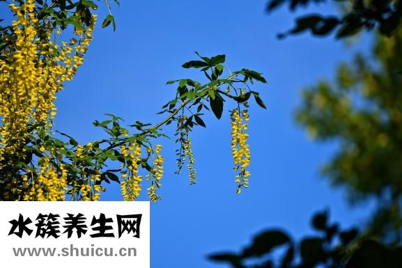 怎么知道寶寶多動(dòng)癥