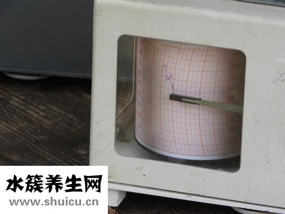 怎么算受孕月份