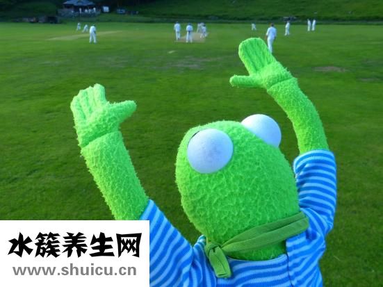 心率慢怎么治療