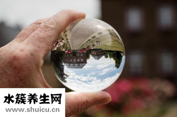 玻璃球花怎么養