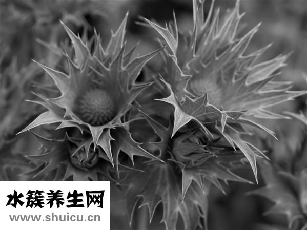 坐字怎么寫好看