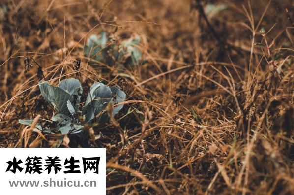 骨膜瘤怎么回事