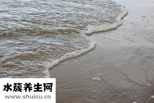 海水白點病怎么治療