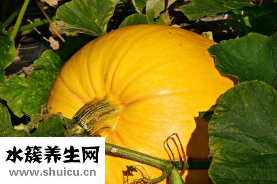 怎么洗掉紫薯印