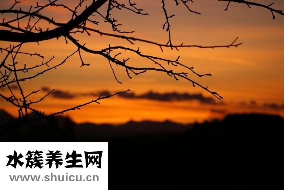 白癜風(fēng)怎么治療問答