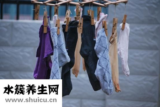 怎么把蒼蠅哄出屋子