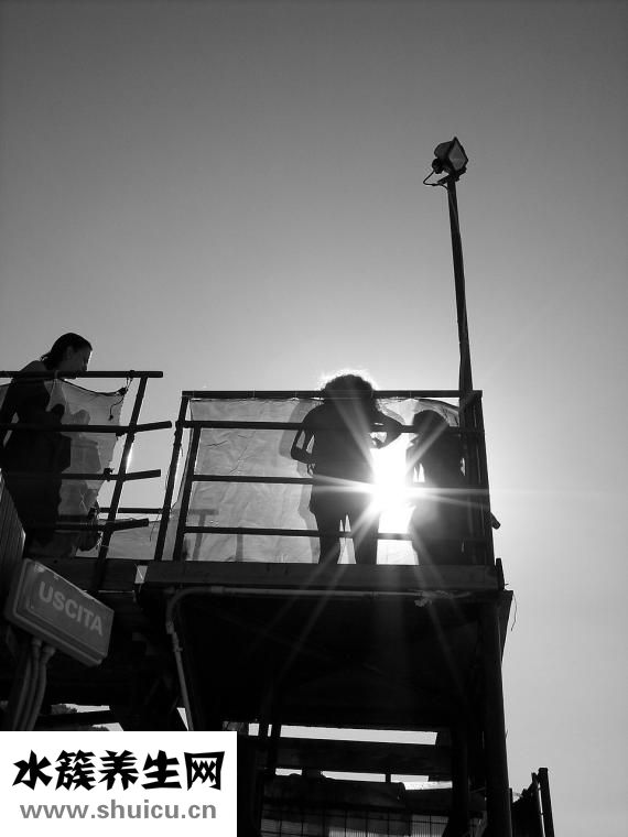 怎么在臉上打陰影