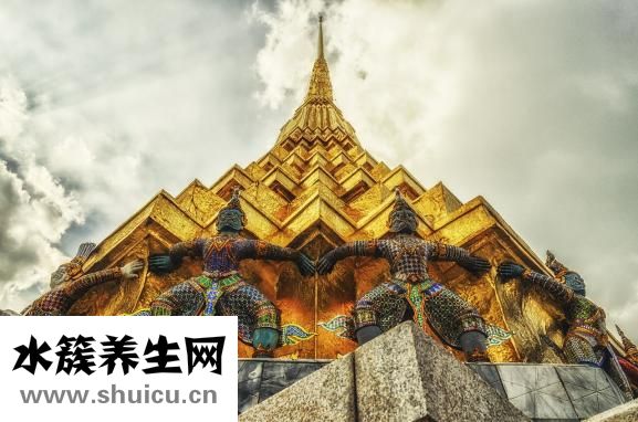 茶喝多了頭暈怎么辦