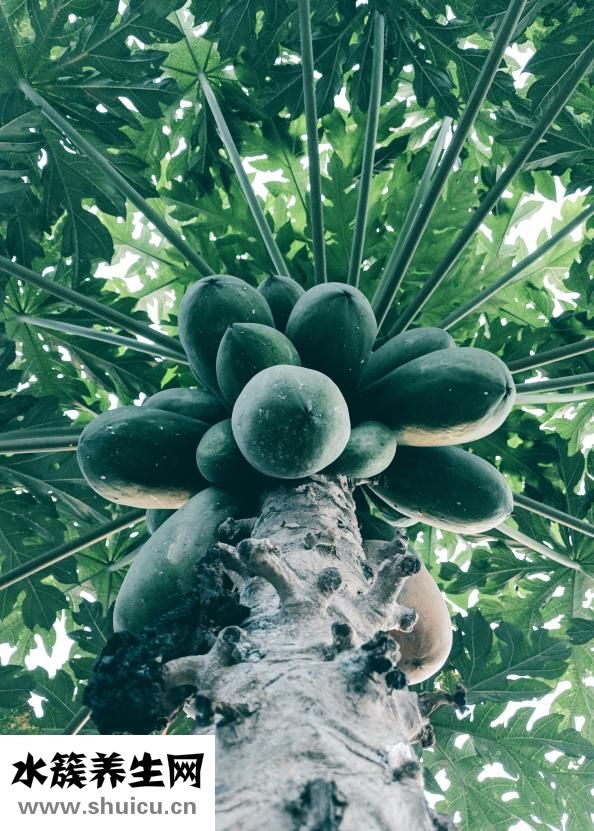 女生長得丑怎么辦