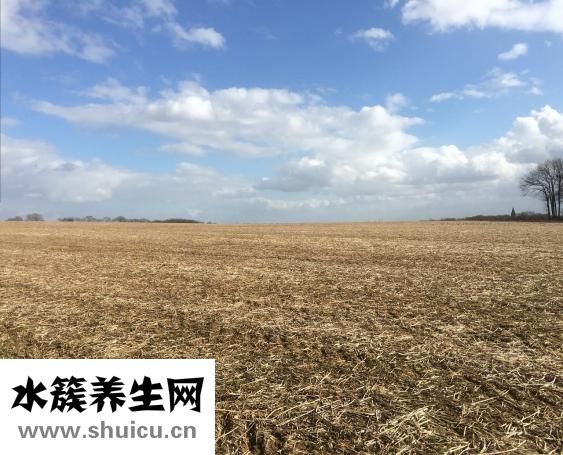 土地被強占怎么辦