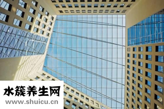 羊屎怎么發(fā)酵