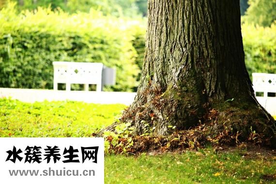 怎么在蘑菇街上推廣