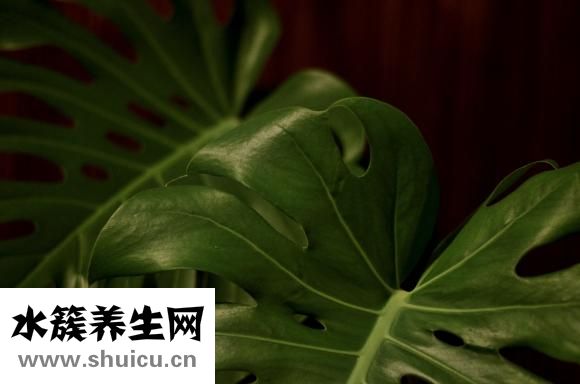 女生長得丑怎么辦