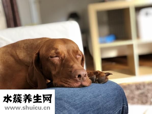 女人乳頭內(nèi)陷怎么辦