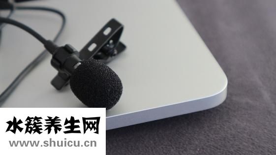 怎么選粉餅的號