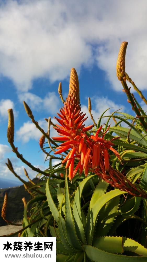 怎么可以去除痘印