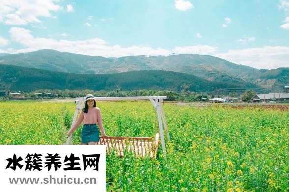 拉花缸怎么選擇