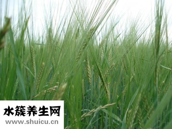 小金剛手串怎么盤